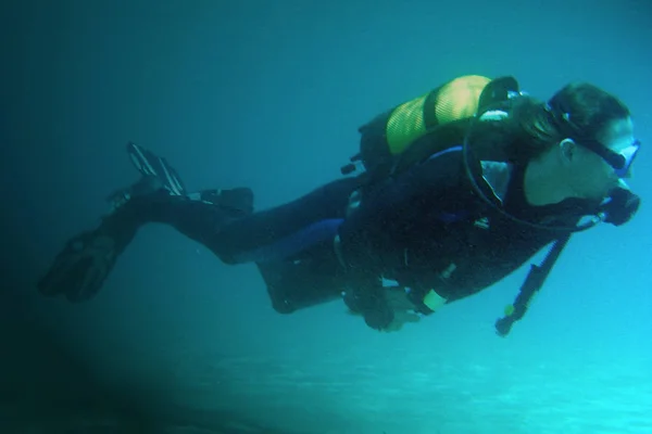 Marine Theme Wallpaper Underwater Shot — Stock Photo, Image