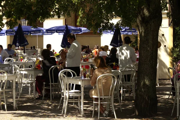 Manhã Xícara Café — Fotografia de Stock