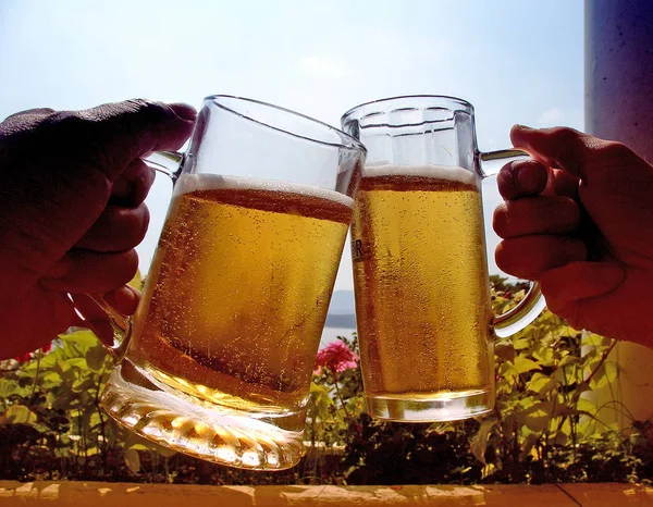 Bevanda Alcolica Birra Fresca — Foto Stock