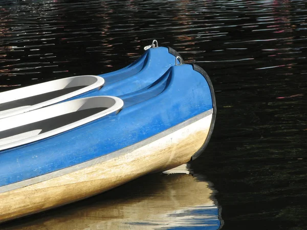 Couple Paddling — Stock Photo, Image