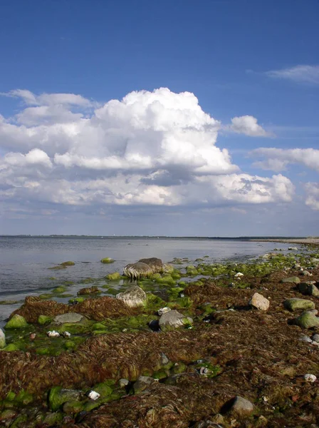 Tengerpart Nyári Természet Nyaralás — Stock Fotó