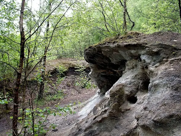 Vieux Mur Pierre Dans Forêt — Photo