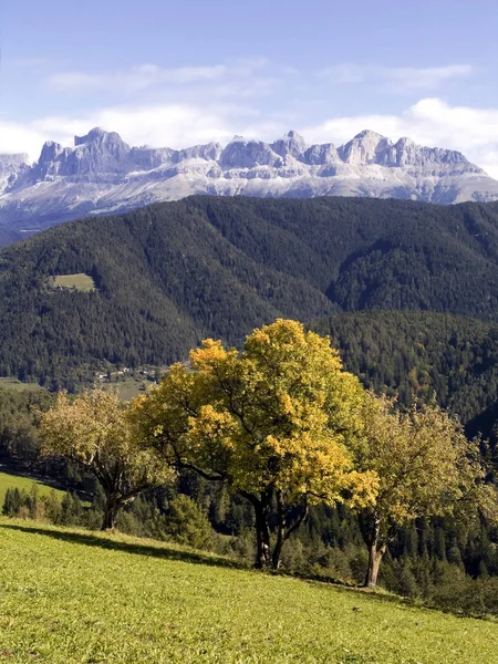 Zuid Tirol Herfst — Stockfoto