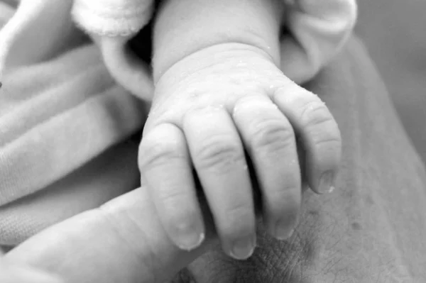 Mãe Segurando Mãos Bebê Mão — Fotografia de Stock