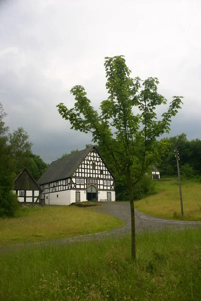 Gewitterstimmung Peternakan — Stok Foto