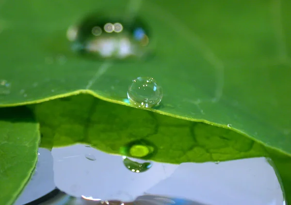 Immagine Concettuale Gocce Acqua Astratte — Foto Stock