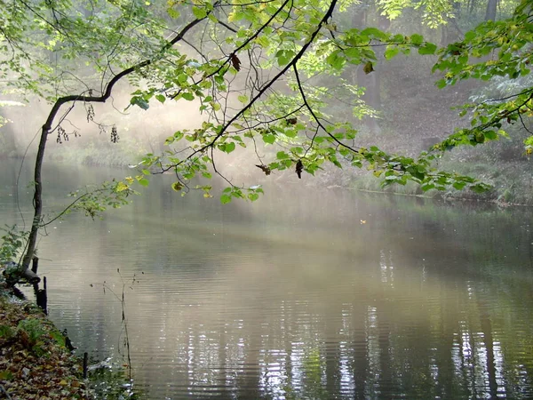 Schöne Aussicht Auf Die Natur — Stockfoto