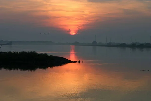 Vedere Pitorească Păsărilor Frumoase Natură — Fotografie, imagine de stoc