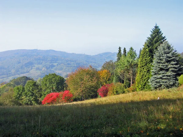 Vacker Utsikt Över Naturen Landskap — Stockfoto