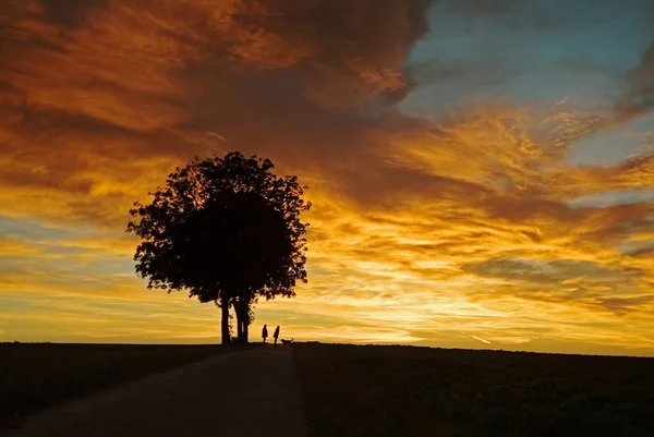 Coucher Soleil Dans Désert — Photo