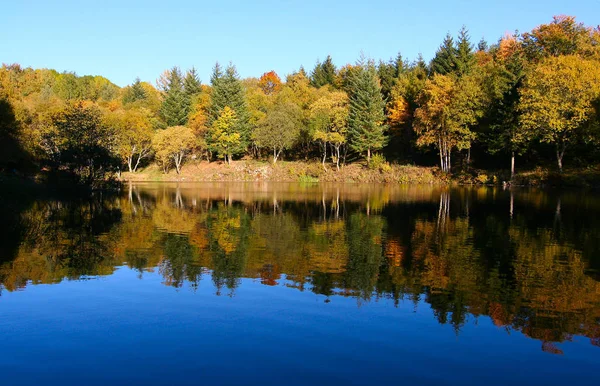 Spiegel Der Natur — Stockfoto