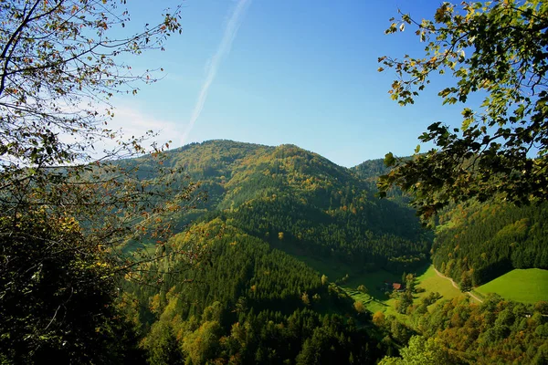 Hermosa Vista Naturaleza —  Fotos de Stock