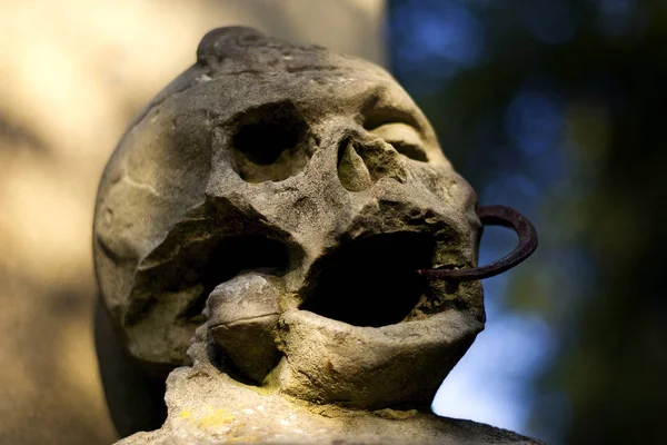 Crânio Humano Forma Esqueleto — Fotografia de Stock