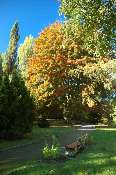 Hermosa Vista Escena Aire Libre — Foto de Stock