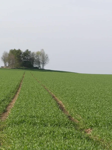 Piękny Widok Przyrodę — Zdjęcie stockowe