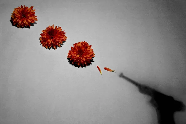 灰色背景的红花 — 图库照片