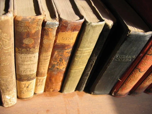 Libros Antiguos Lectura Literatura —  Fotos de Stock