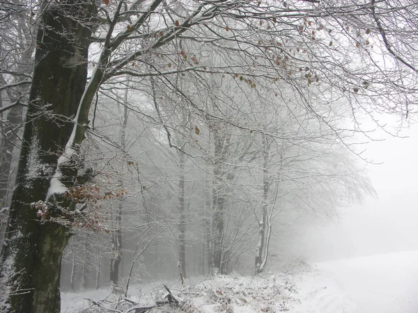 Bela Vista Paisagem Inverno — Fotografia de Stock