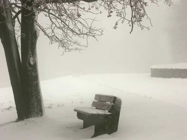 Bela Paisagem Inverno Nevado — Fotografia de Stock