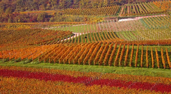 Aussichtsreicher Blick Auf Die Landwirtschaft Auf Dem Land — Stockfoto