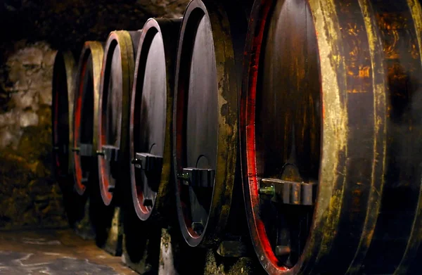 Barricas Vino Una Bodega — Foto de Stock