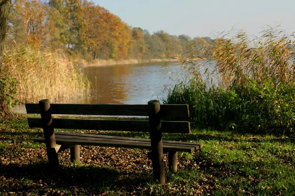 Bella Vista Sul Parco Della Città — Foto Stock