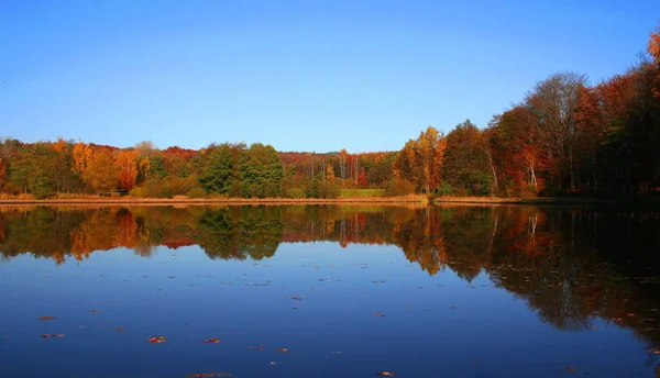 Festői Kilátás Természet Táj — Stock Fotó