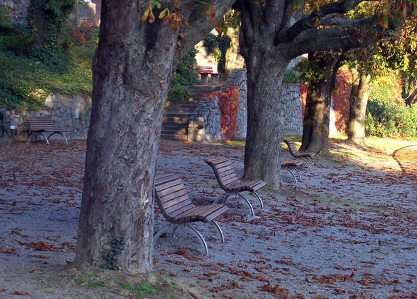 Piccolo Parco Nella Mia Città Natale Autunno Solitario Abbandonato — Foto Stock