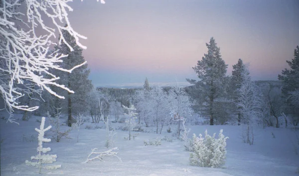 Güzel Kış Manzarasının Resimsel Görüntüsü — Stok fotoğraf