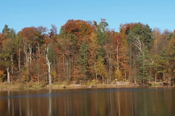 Erholungsgebiet Bärenseen Und Trinkwasserreservat Für Stuttgart — Stockfoto