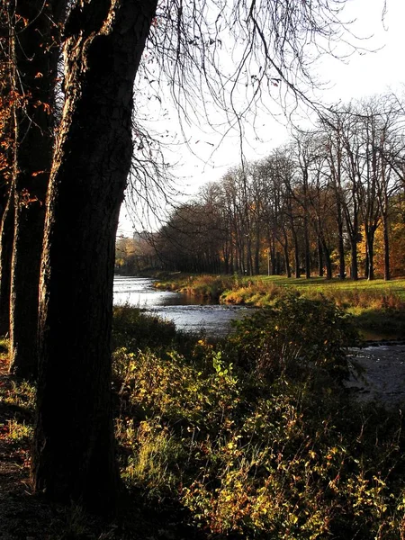 Pittoresk Utsikt Över Landskapet — Stockfoto