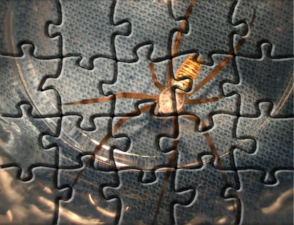 Puzzle Jigsaw Piezas Rompecabezas — Foto de Stock