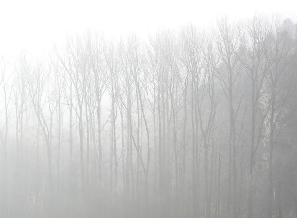 Vacker Utsikt Över Naturen Landskap — Stockfoto