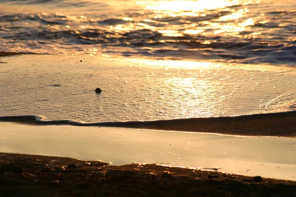 Zon Zand Zee — Stockfoto