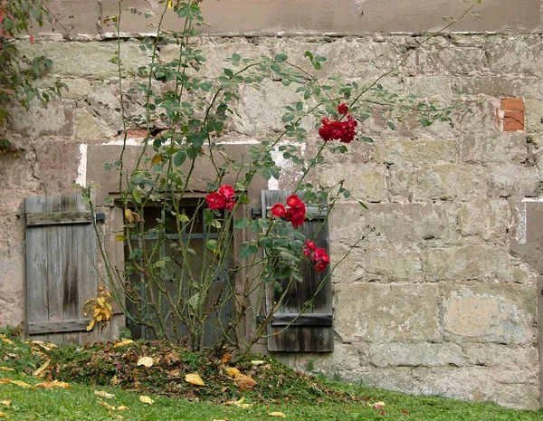 Scenic View Old Monastery — Stock Photo, Image