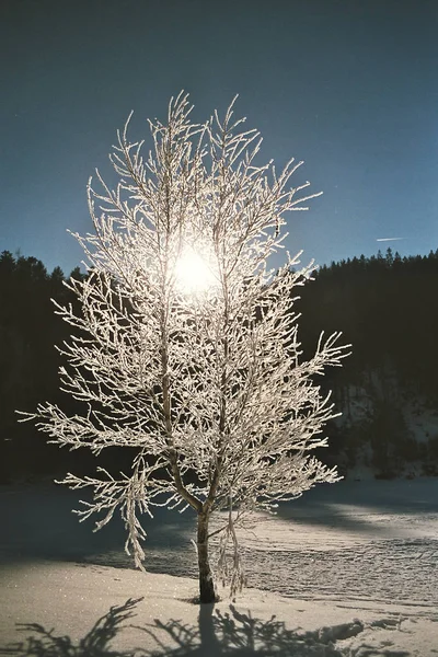 美しい雪の冬の風景 — ストック写真