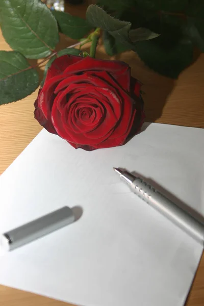 Rose Rouge Avec Papier Blanc Stylo — Photo