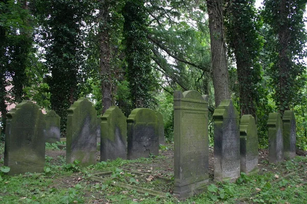 Image Old Cemetery — Stock Photo, Image