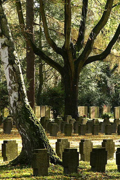 2005年5月11日にフランクフルトの墓地で — ストック写真