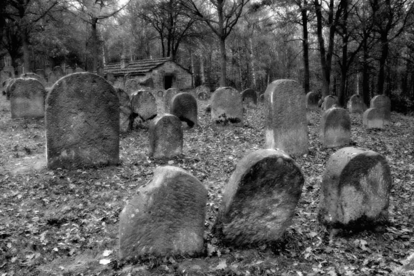 我想看几遍放大的图片 又是在家乡的犹太人公墓路上 所谓的 的犹太人公墓 — 图库照片
