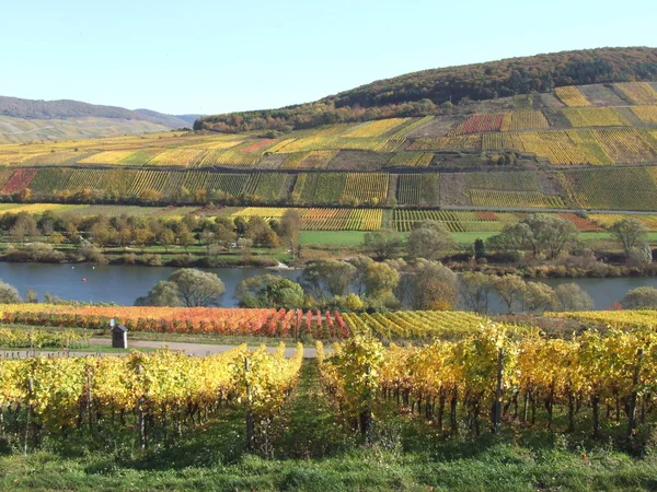 Vue Pittoresque Sur Les Paysages Campagne — Photo