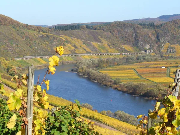 Мозель Река Протекающая Через Францию Люксембург Германию — стоковое фото