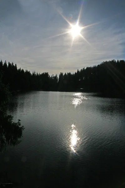 Vacker Utsikt Över Naturen — Stockfoto