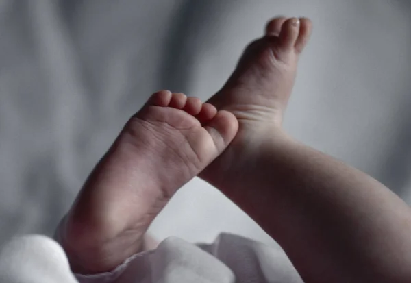 Sevimli Bebek Manzarası — Stok fotoğraf