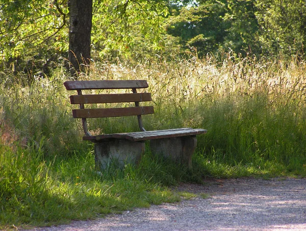 Bella Vista Della Scena Della Natura — Foto Stock