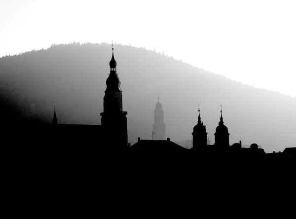 Heidelberg Uma Cidade Alemanha Localizada Estado Rio Neckar — Fotografia de Stock