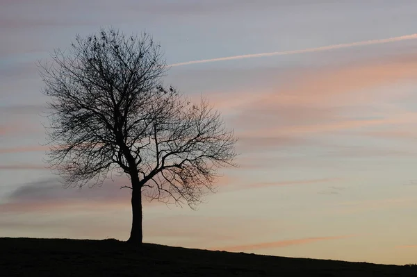 Schöner Blick Auf Den Warmen Abend — Stockfoto