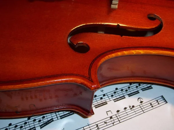 Skrzypce Instrument Muzyczny Zbliżenie — Zdjęcie stockowe