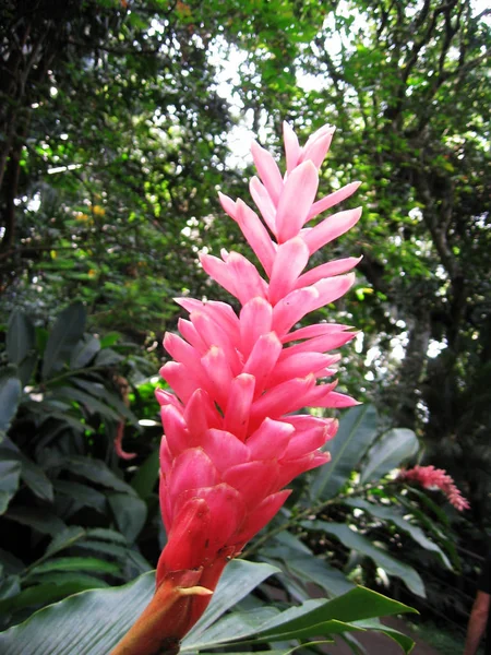 Kolorowe Skały Kostaryce — Zdjęcie stockowe