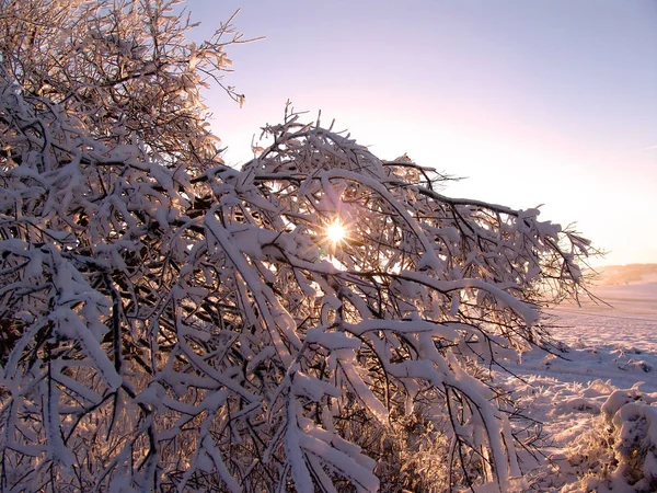 Bela Vista Paisagem Inverno — Fotografia de Stock